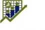 CFM SECURITIES LOGO