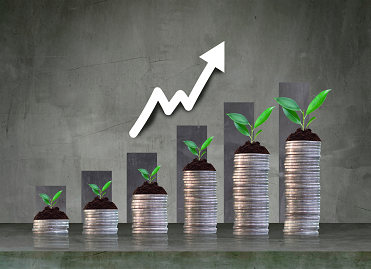 Investment CFM SECURITIES